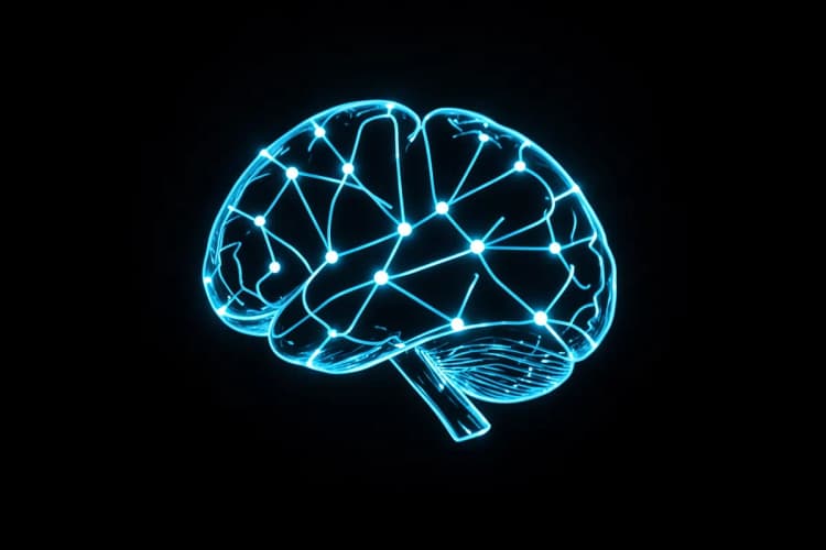 Um cérebro estilizado com conexões luminosas representando a função da gestão de vendas.