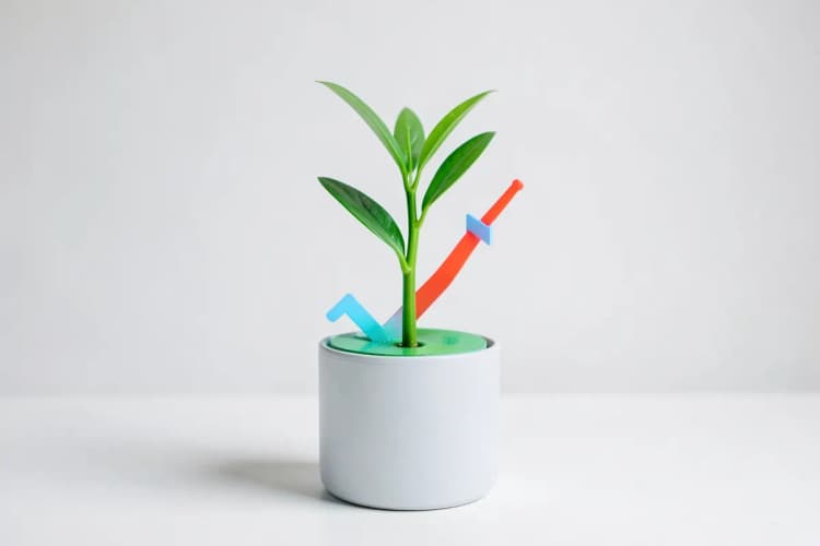 O que é growth digital?