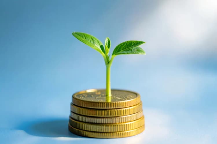 Uma planta crescendo em uma pilha de moedas, simbolizando investimento e retorno.